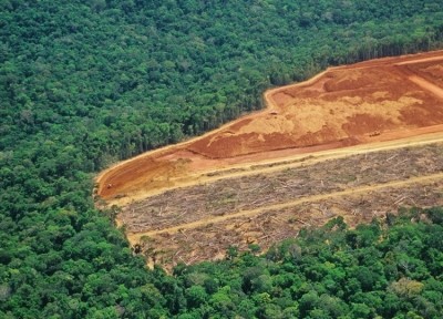 According to MapBiomas data, agribusiness was responsible for 97% of deforestation in Brazil in 2021, with environmental degradation concentrating on agricultural and livestock expansion frontiers. GettyImages/luoman