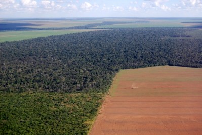 A fifth of soy and beef imported to EU from Brazil has deforestation links: Study / Pic: iStock/Phototreat