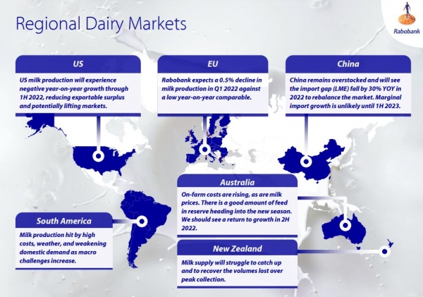 dairy markets rabobank