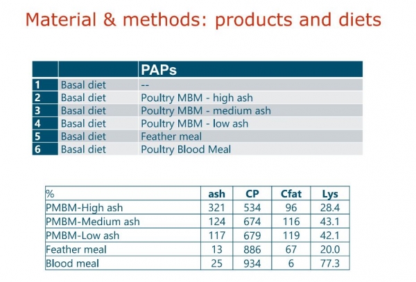 Diets studied SFR PAPs