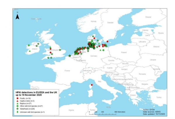 EFSA Avian Influenza detections