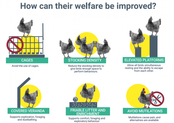 efsa welfare infographic
