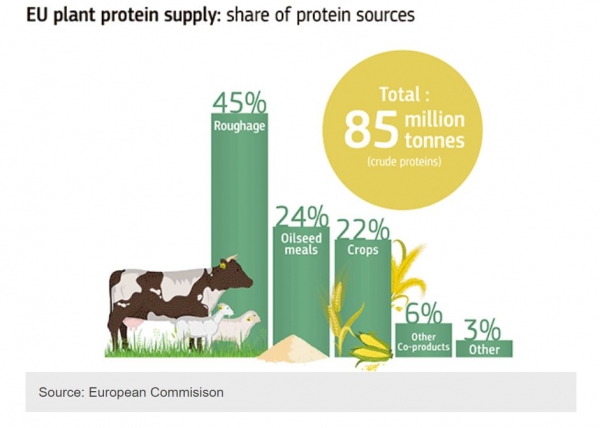 eu plant protein supply graphic Source EU Commission