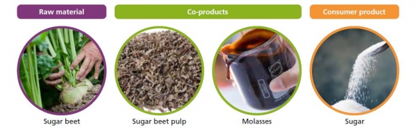 Feed co-products from sugar FEFAC 2019