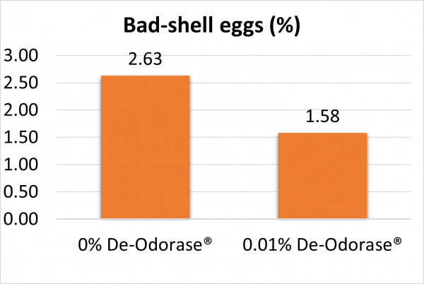 Fig 3 Bad-shell eggs