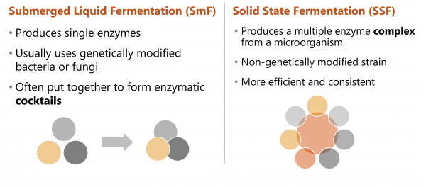 Figure 3. Two methods for producing enzymes