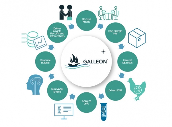 Galleon tool