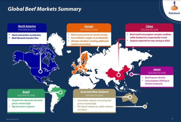 global beef markets summary 2022 march