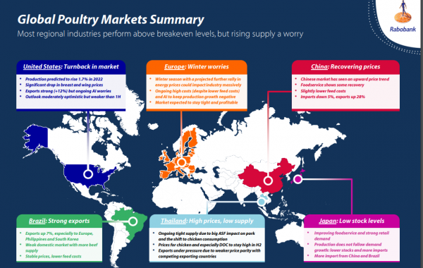 global poultry market poultry quarterly Q4 2022 Rabobank