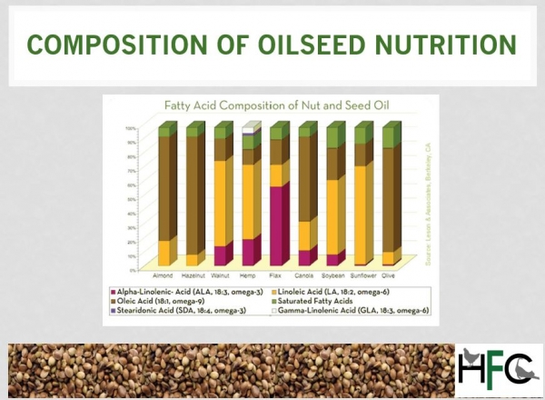 hemp nutritional value compared to other oilseeds