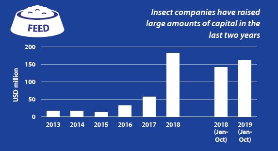 Insect investments since 2013 Rabobank Nov 2019