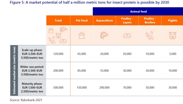 insect sector phased growth model rabobank 2021
