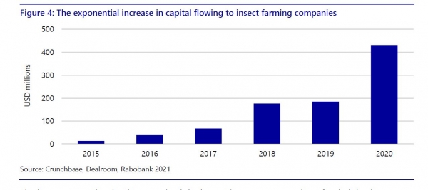 investment in insects raboresearch 2021