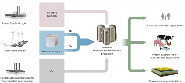 Method for microbial biomass from renewable hydrogen