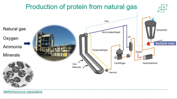 natural gas to feed protein