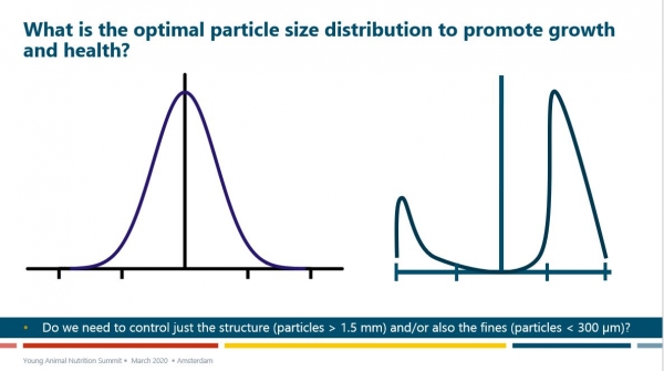 particle size