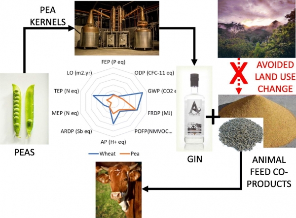 pea gin to feed study graphic