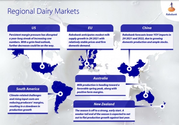 regional dairy markets