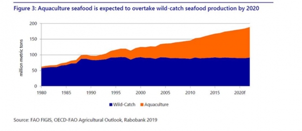seafood wild v farmed data