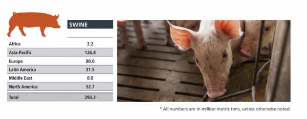 swine feed output globally