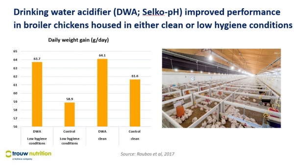 Trouw Nutrition trial results on drinking water additive in broiler production