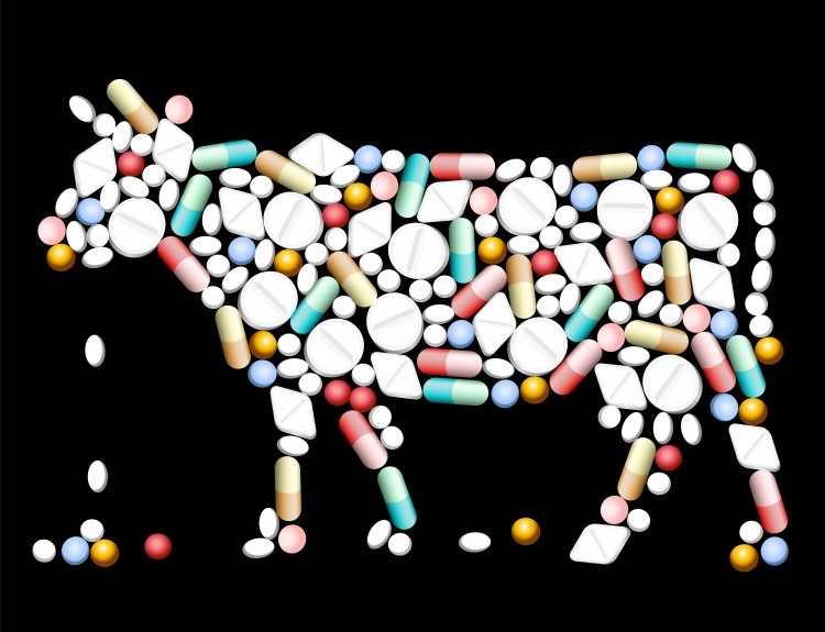 'Antibiotics may have knock-on effects on parts of the ecosystem where no one has even thought of looking before,' says Tomas Roslin, Swedish University of Agricultural Sciences Image © istock.com/PeterHermesFurian