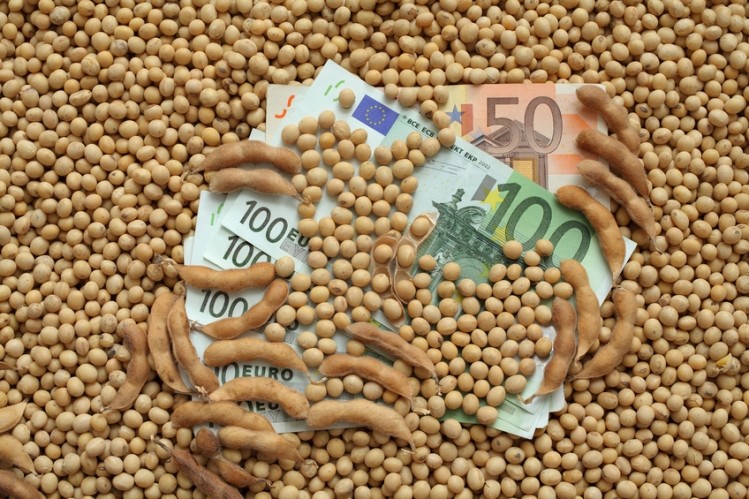 'The move to source European soy will immediately account for 25% of the soy in our pork supply chain, and this proportion will increase over time.' © istock/simazoran