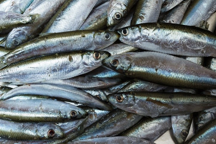 'The Peruvian fishery research institute IMARPE (Instituto del Mar del Perú) has good research practices but needs to improve its transparency.' © istock/svega