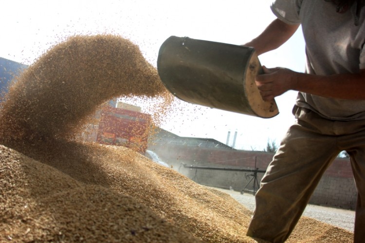 Regulation, niche ingredients may influence feed sector development