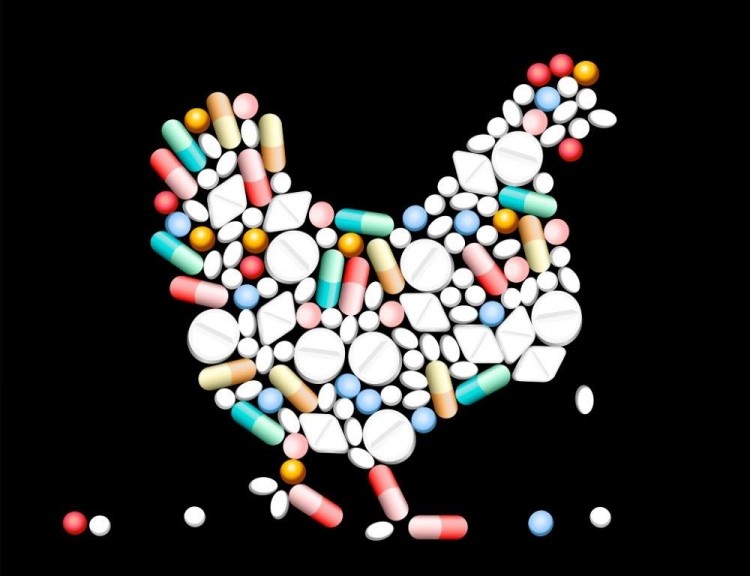 Various alternatives have been used to replace antibiotics in a prophylactic role, including probiotics, butyrate and organic acids: 'Our members keep trialin different methods, but we don’t have any scientific evidence as to whether one alternative or more in combination has led to reductions in the use of antibiotics,” said Kaul. “Trials have been taking place, but we don’t have any results yet.' © istock