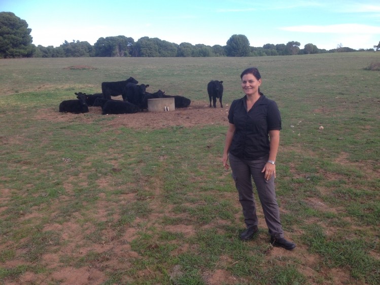 Melissa Rebbeck, of the University of Adelaide, is leading research into a new pellet for methane reduction in cattle.