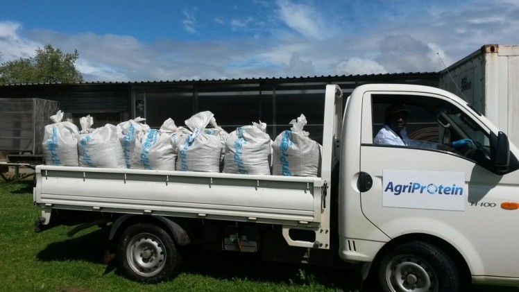 AgriProtein expects to yield 7 tons daily of its larvae derived meal by August this year  
