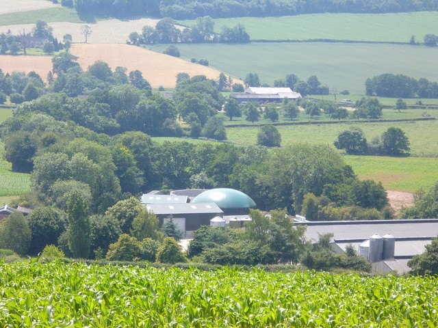 Following the German example on anaerobic digestion could exert pressure on animal feed crop prices. Photo courtesy of Ynergy.