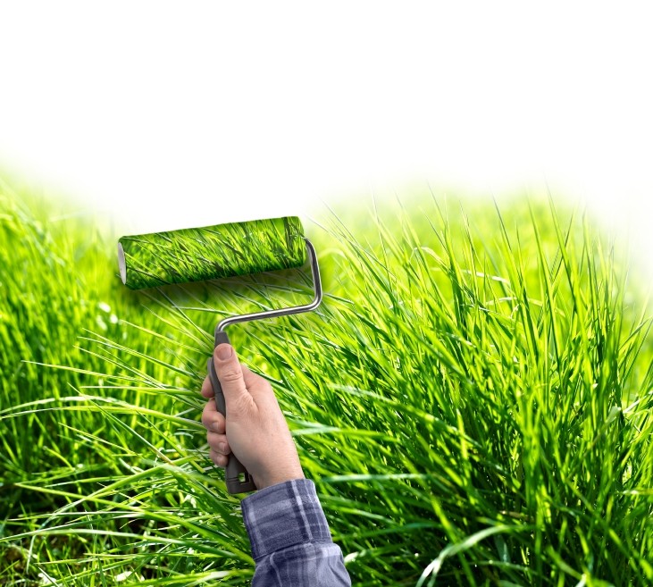 "It is no longer enough to find more sustainable ways of growing a crop," says Forum for the Future  © istock.com/Bombaert