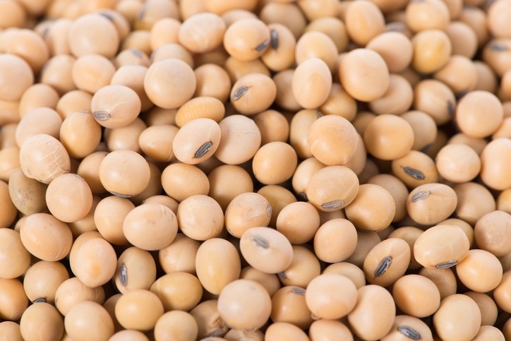 Production of novel feed protein from rapeseed and European grown soybeans – where is it at?