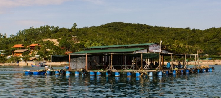 Fish farming in Vietnam is a target sector for Entobel's insect feed © GettyImages/vermontalm