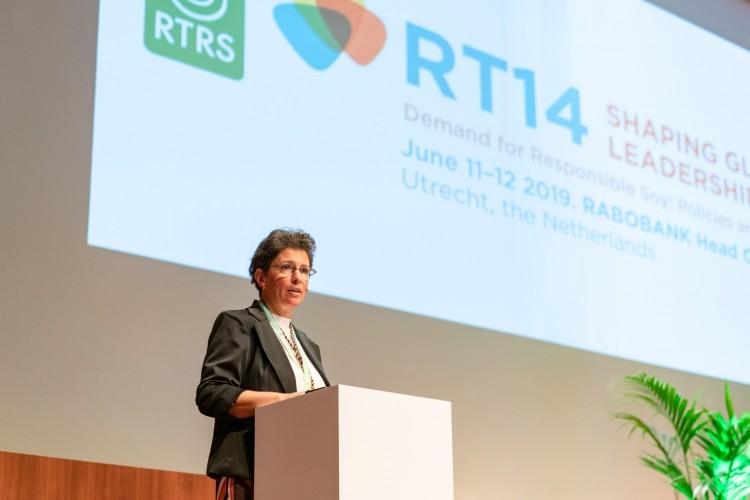 Marina Born, president of RTRS, speaking at RT14 in Utrecht on June 11 2019  