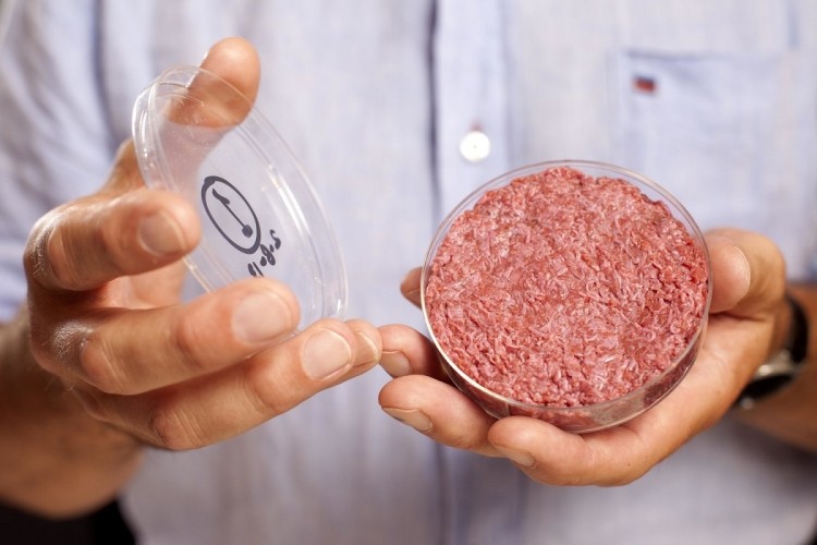 First cell-based burger, developed by Prof Mark Post in 2013 © Mosa Meat 