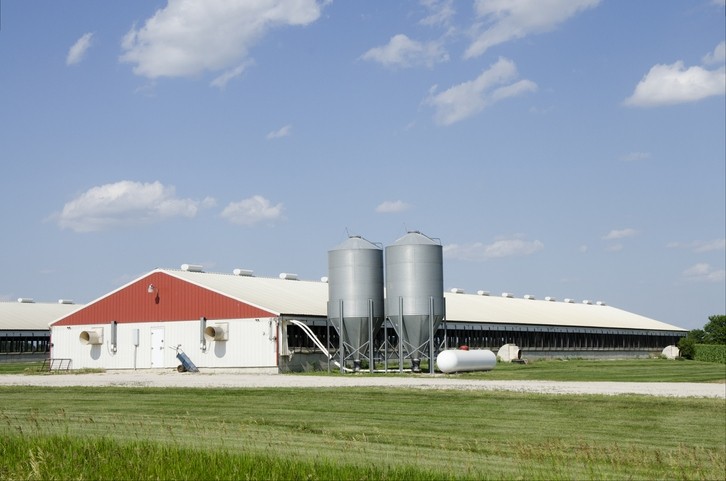 Hog farm Iowa © GettyImages/NNehring