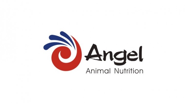 Angel Yeast - animal nutrition