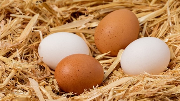 The cage-free egg sector in China has rapidly gained in popularity over the past year due to major support from both government and industry players. ©Getty Images