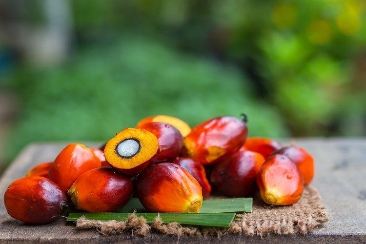 Blockchain is supporting Unilever's drive to stamp out palm oil linked deforestation from its supply chain / Pic: GettyImages-Wirachai