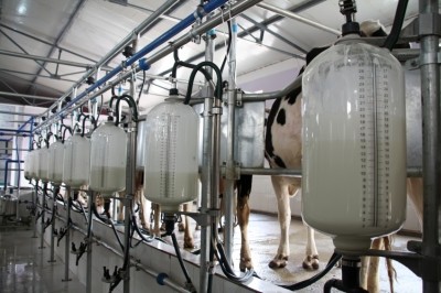 Safety and higher milk yields the aim of new animal nutrition R&D complex in China: Cargill
