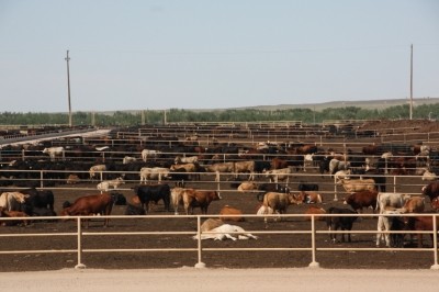 Animal feeding emissions exemption lawsuit may be grinding closer to discussion in court