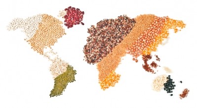 Free trade boosts US feed grain exports to South America