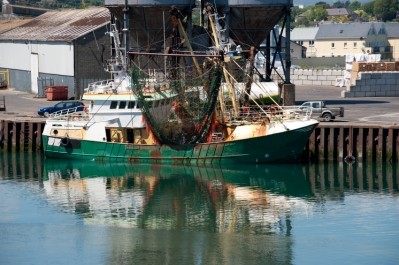 Chilean officials seize fishmeal over raw material origin