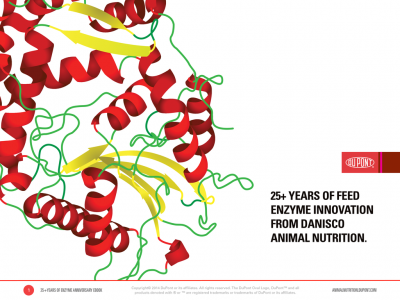 25+ years of feed enzyme innovation
