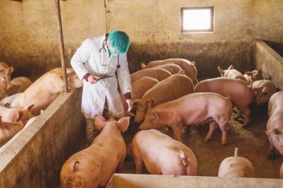 AFIA offers suggestions on address biosecurity in feed production © GettyImages/dusanpetkovic