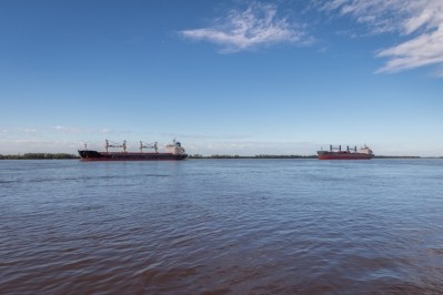 Ships on Parana River, Rosario, Santa Fe, Argentina © GettyImages/diegograndi