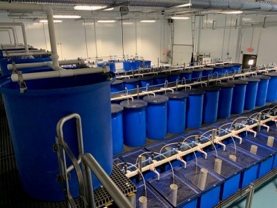 ADM's new aqua feed research lab based in its Animal Nutrition Technology Center (ANTC) in Decatur, Illinois © ADM